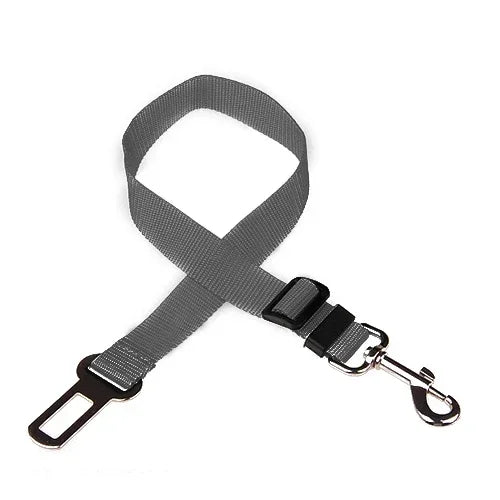 Car Safety Belt