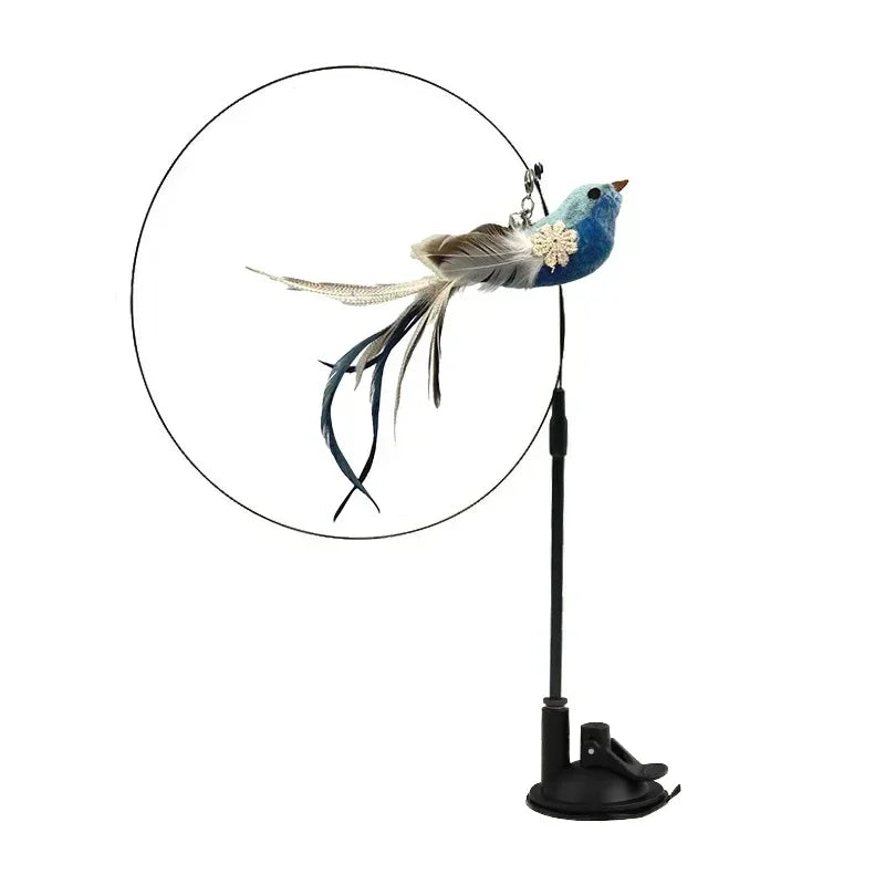 Peacock Teaser