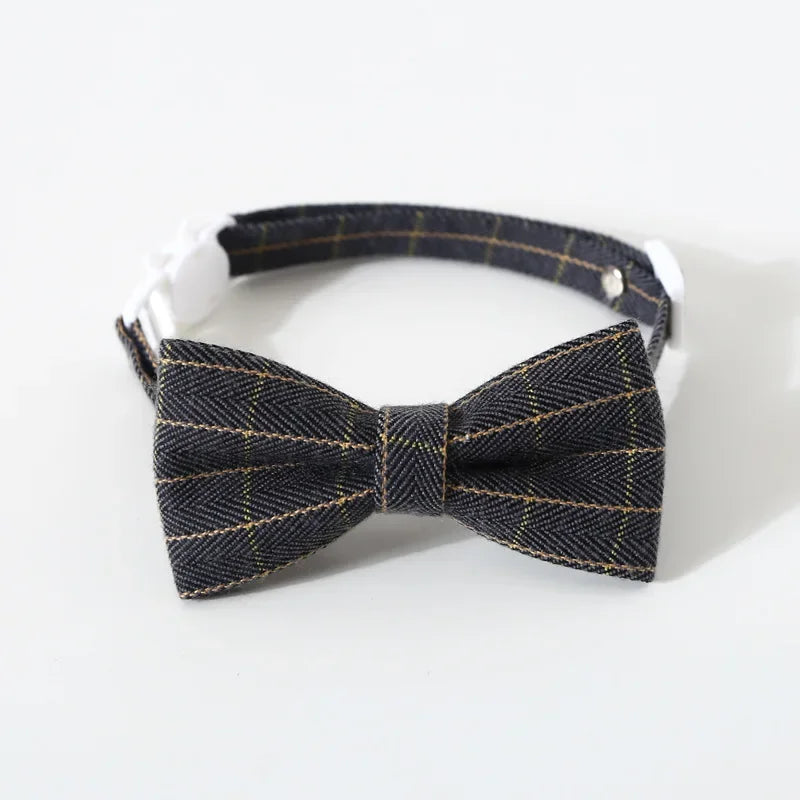Cat Collar