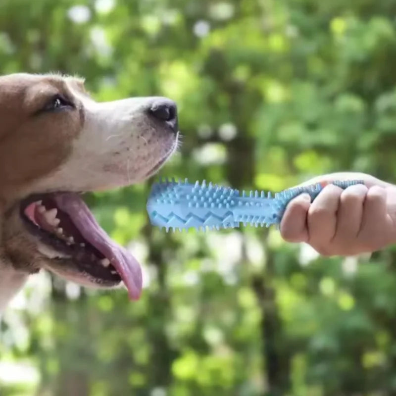 Teething Treat Stick