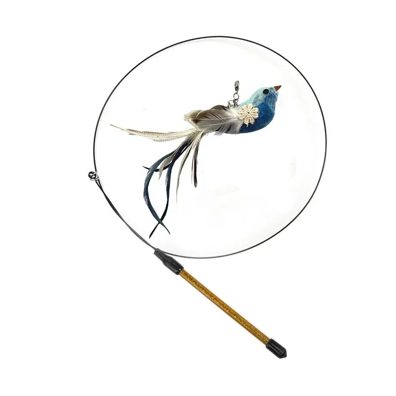 Peacock Teaser