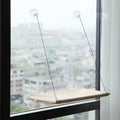 Window Hammock