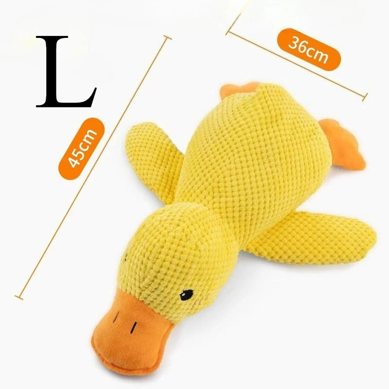 Quack Duck Toy