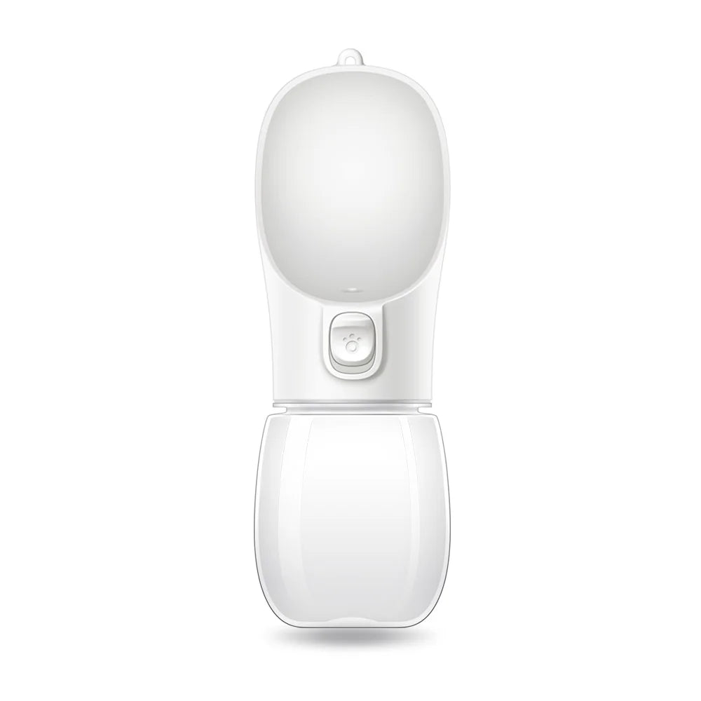 Travel Water Bottle