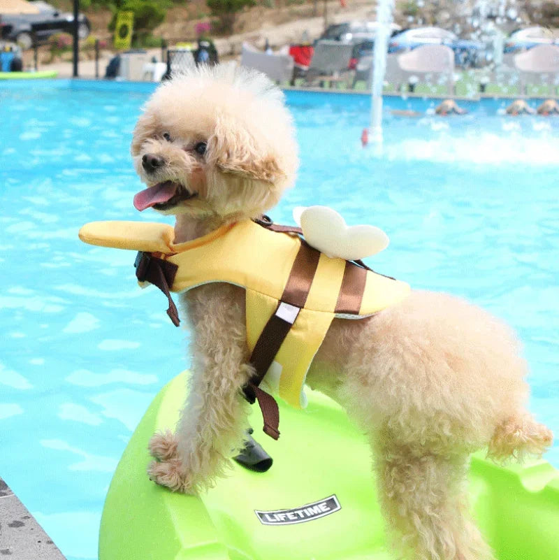 Life Jacket