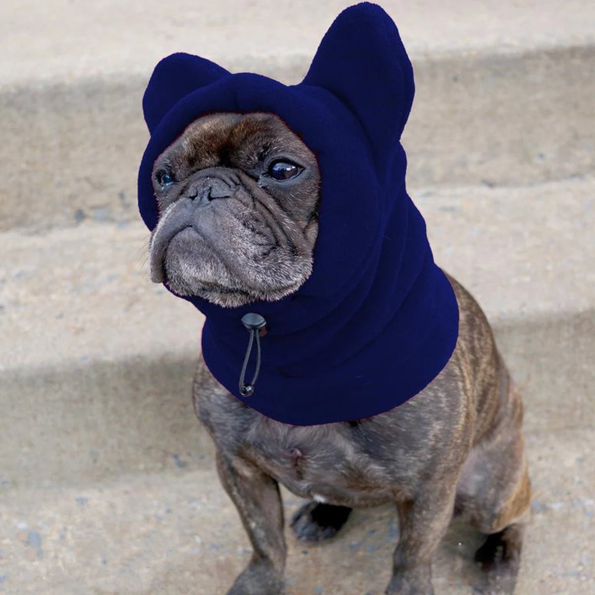 Bat Hat