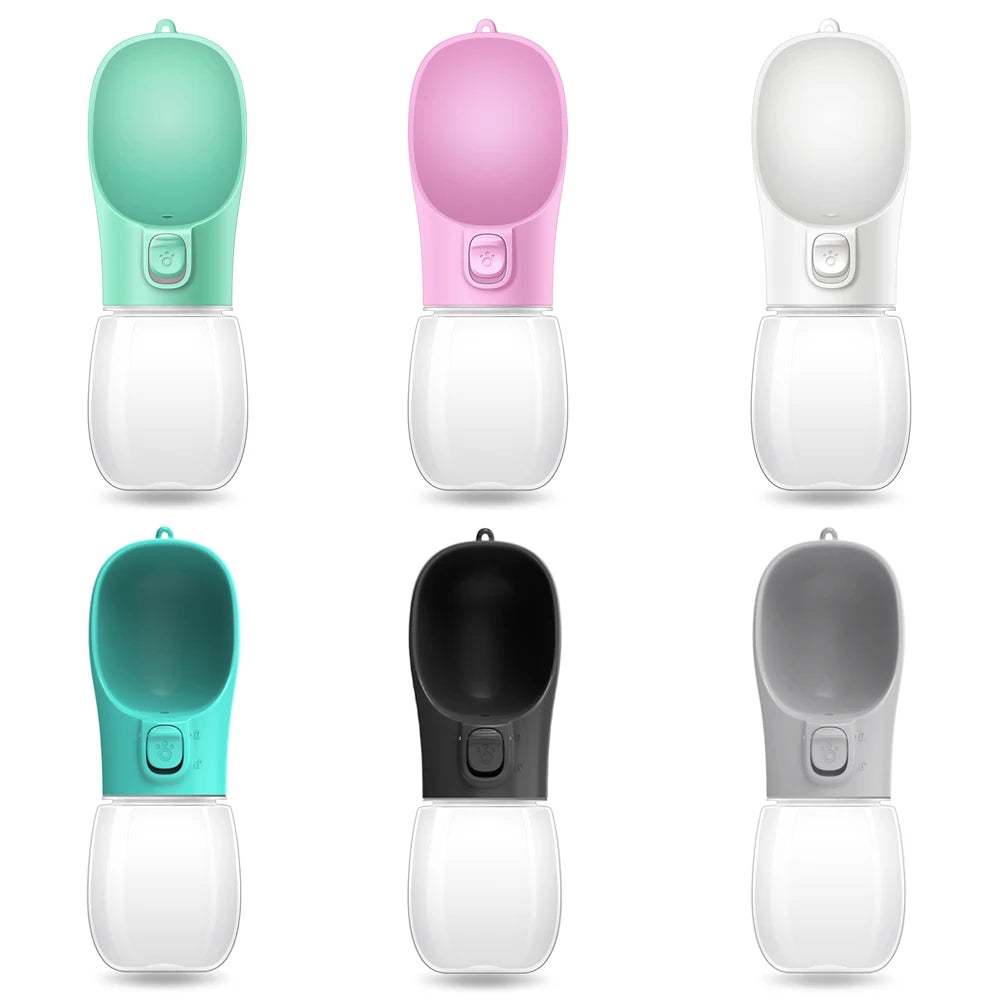 Travel Water Bottle