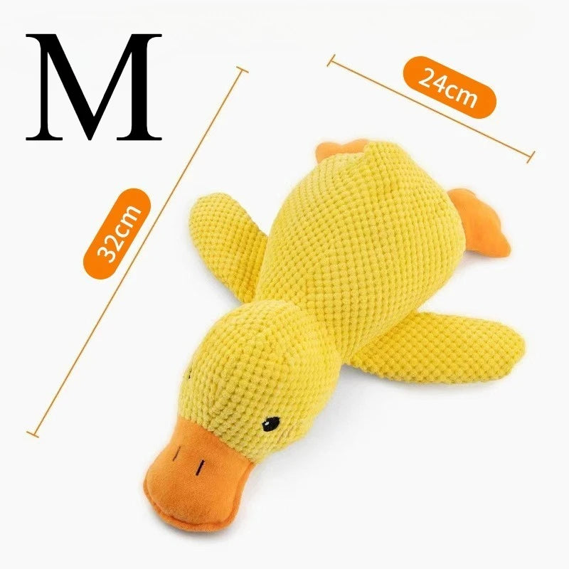 Quack Duck Toy