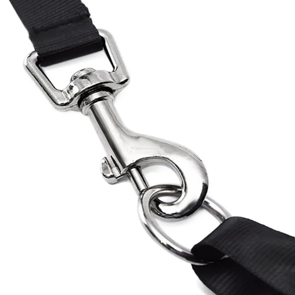 No-Pull Head Halter