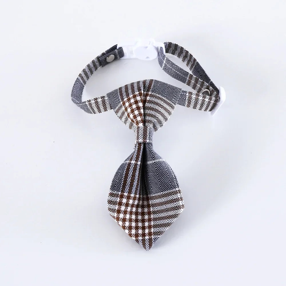 Cat Collar