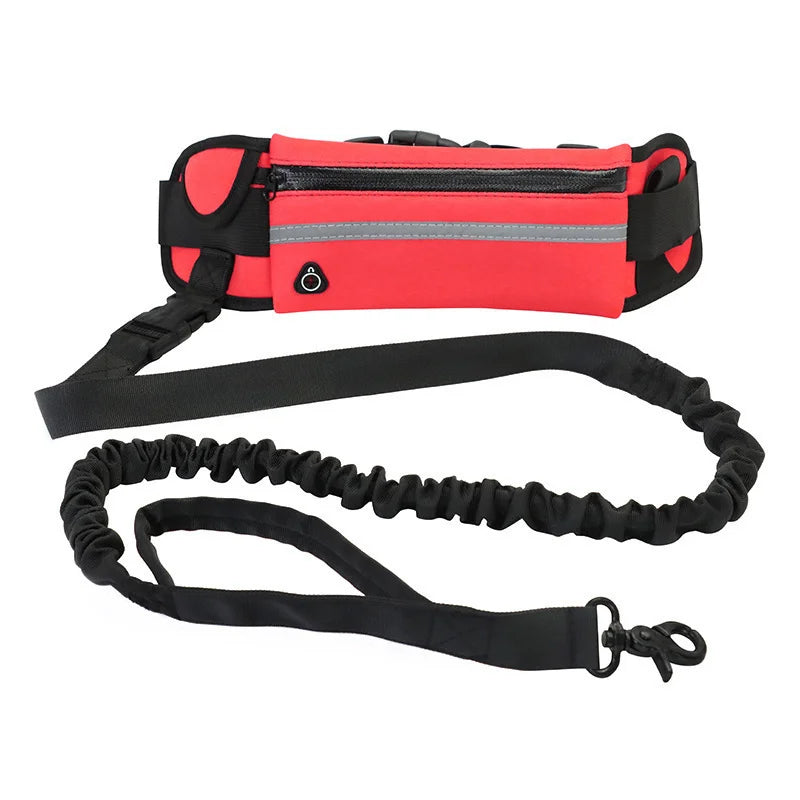 Hands-Free Leash
