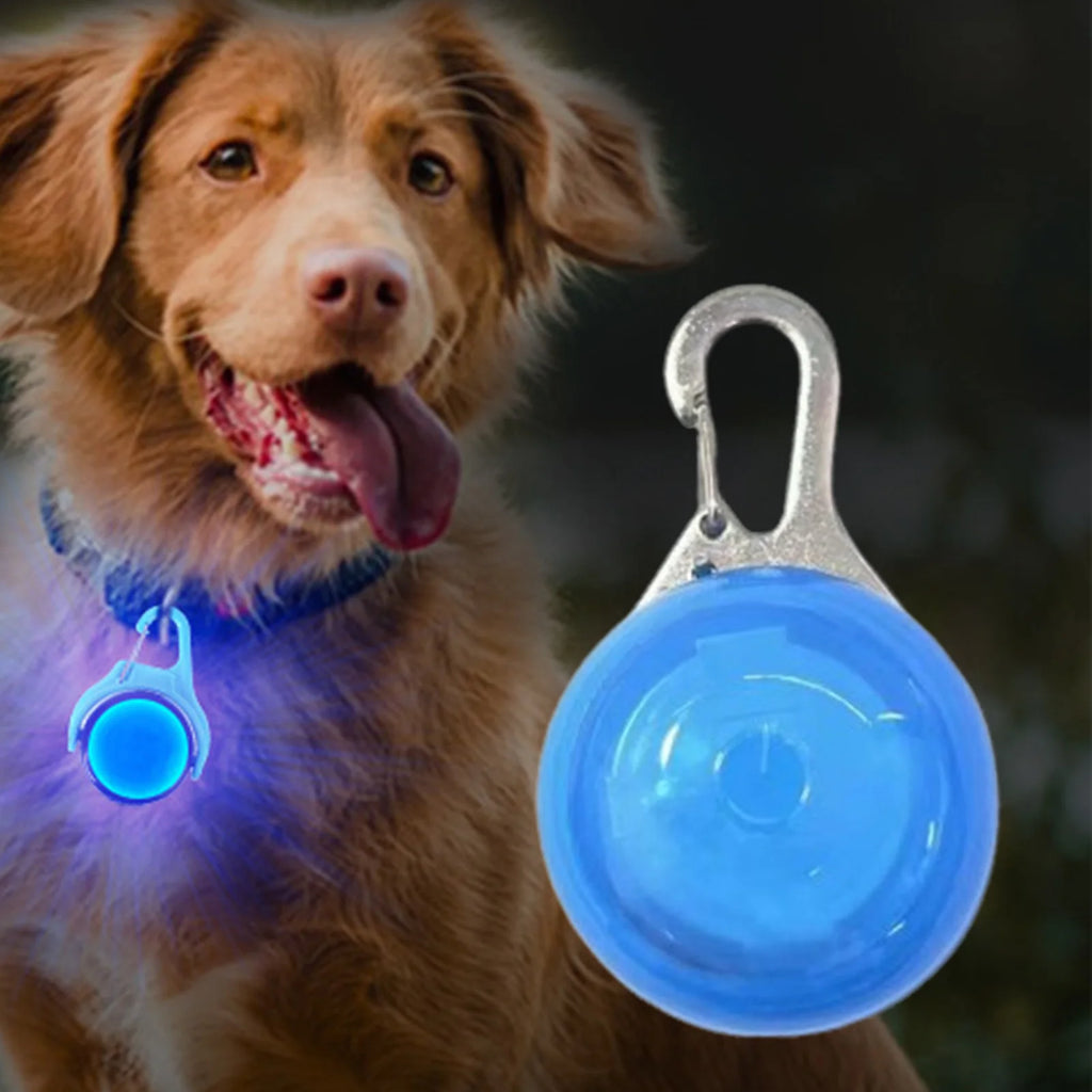 LED Collar Light