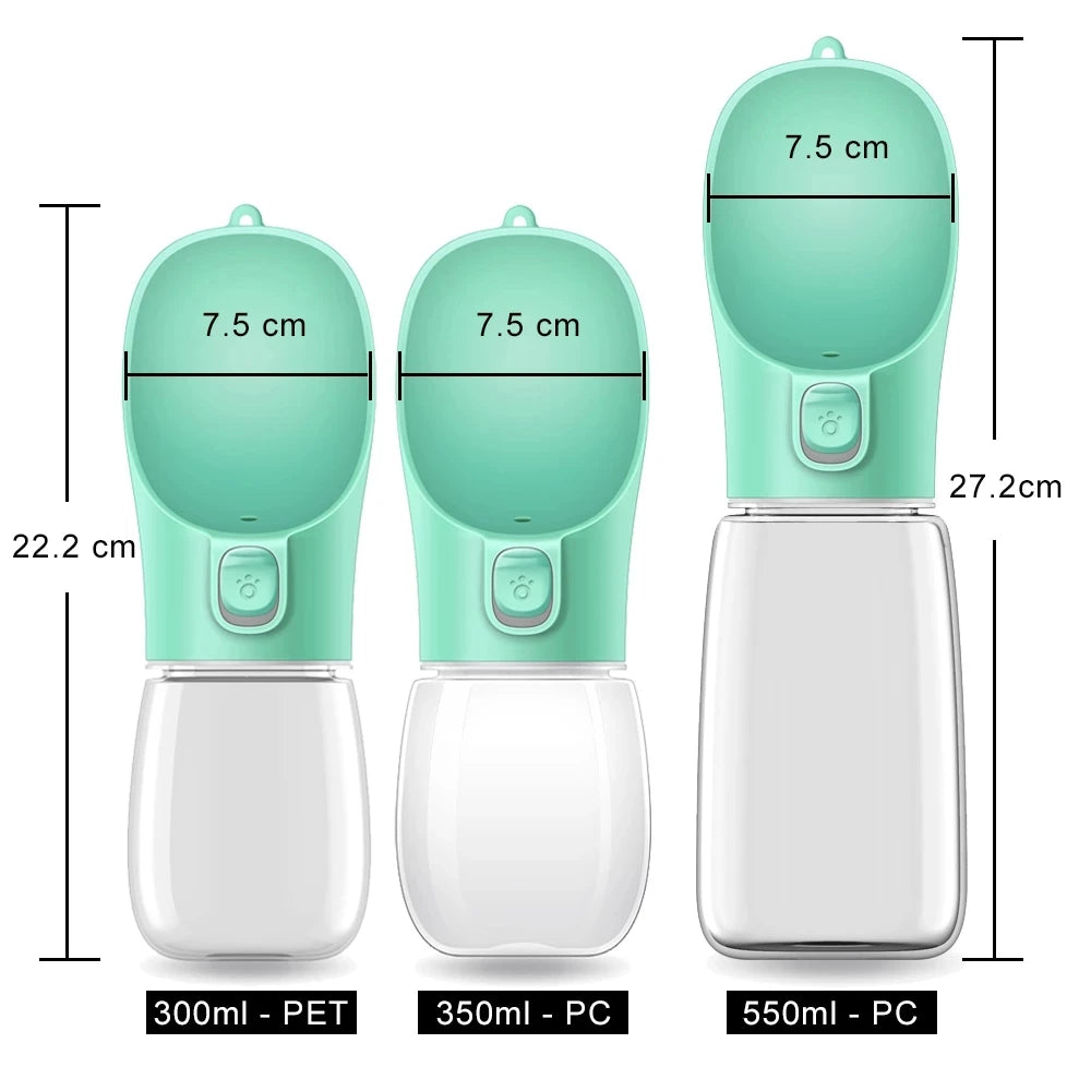 Travel Water Bottle
