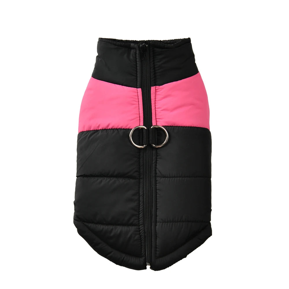 Winter Jacket