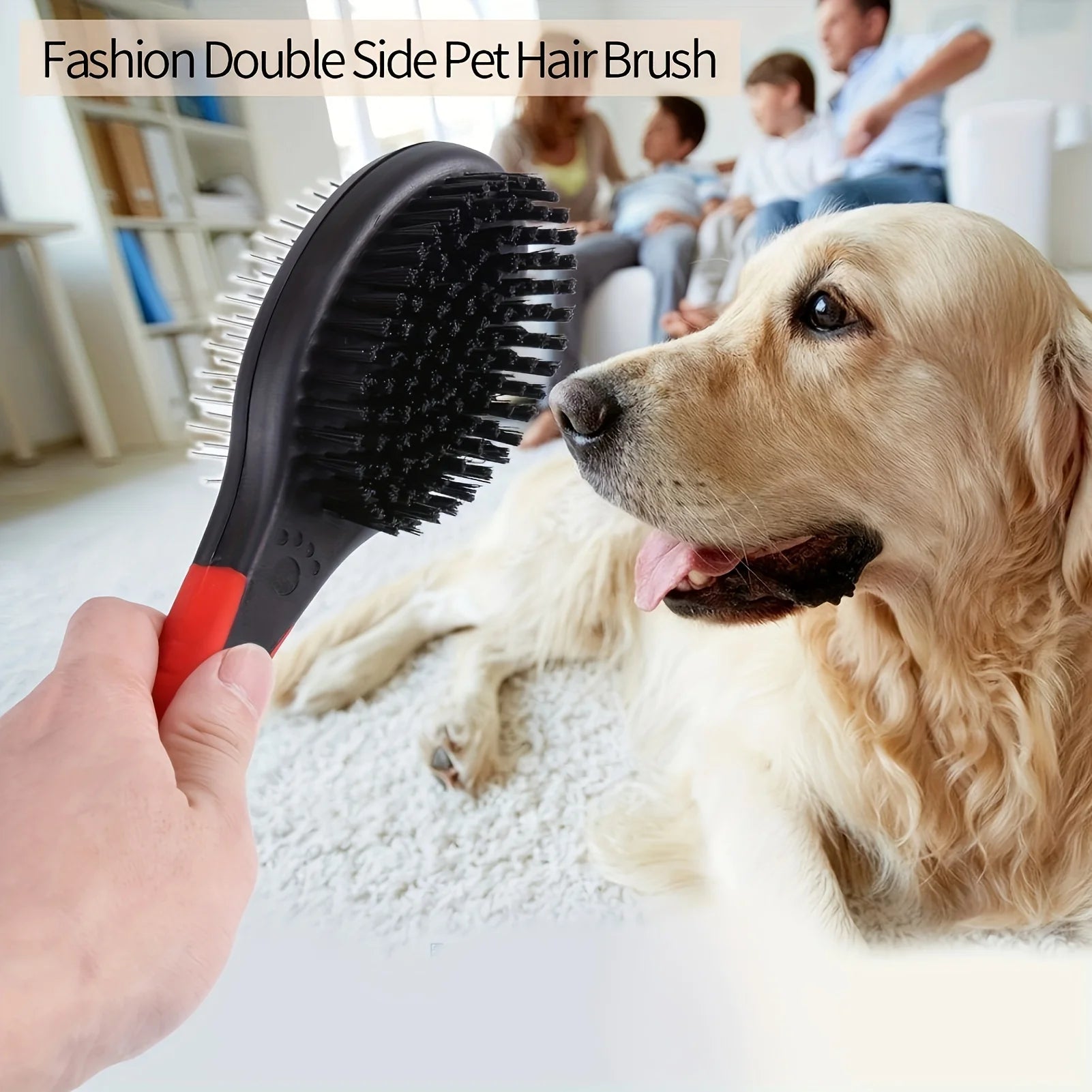 Dual Brush