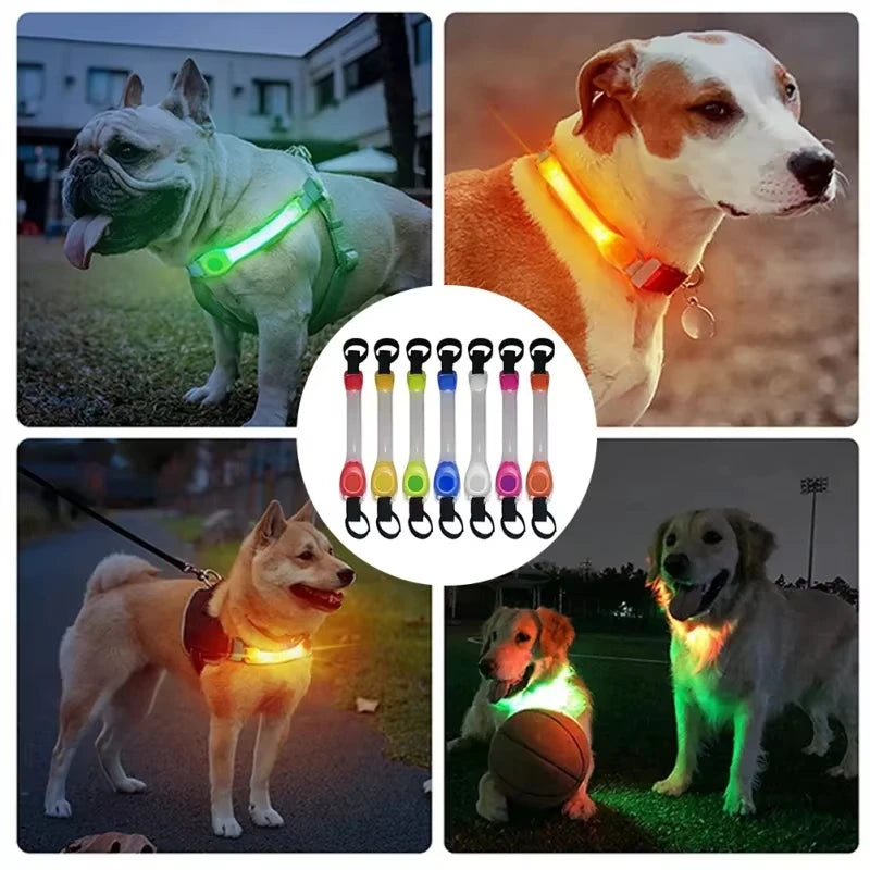 LED Harness Light