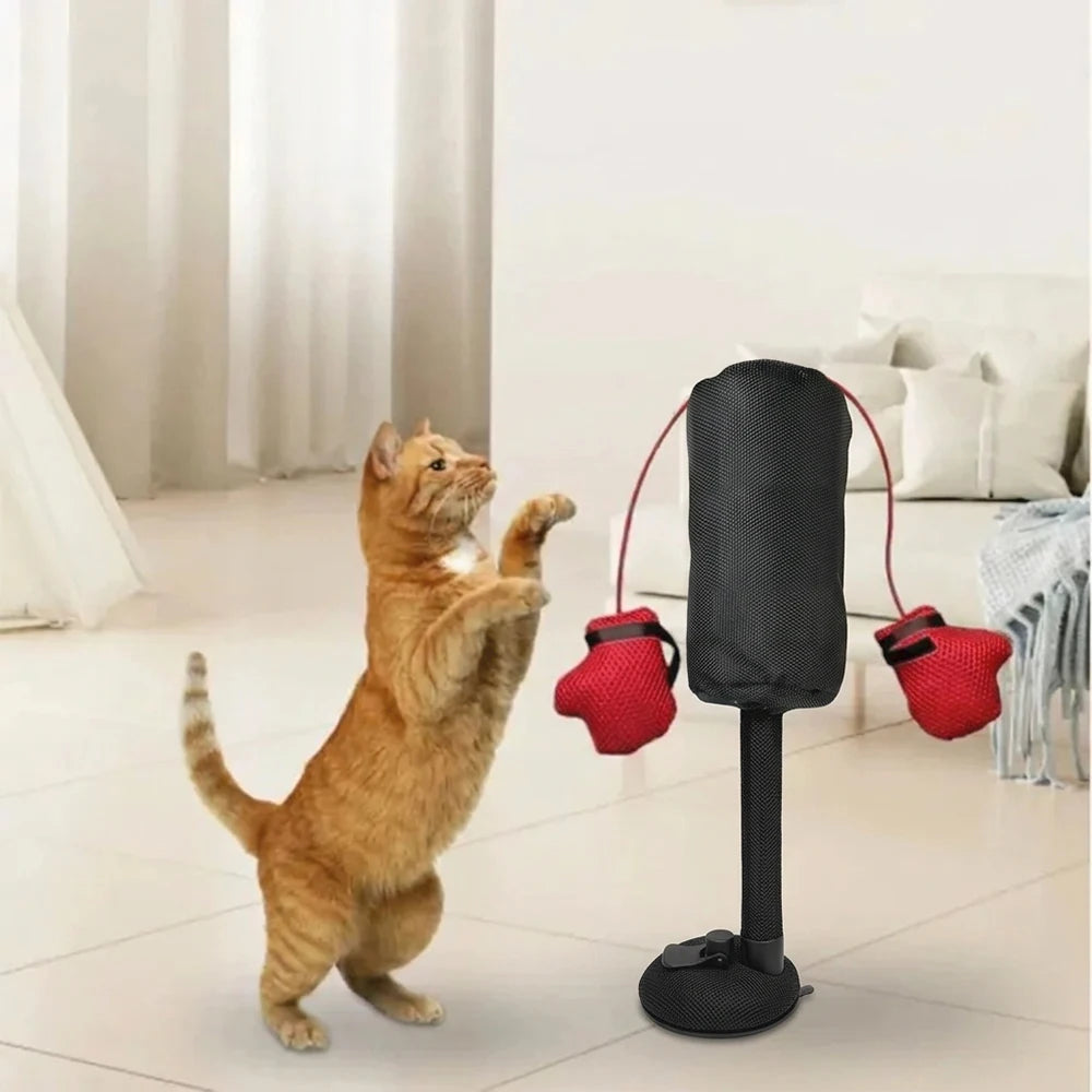 Cat Punch Bag