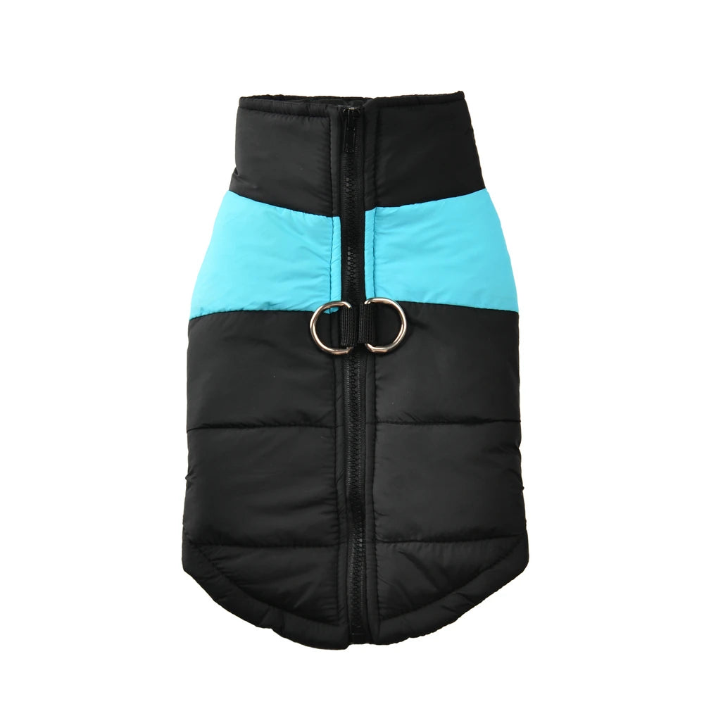 Winter Jacket
