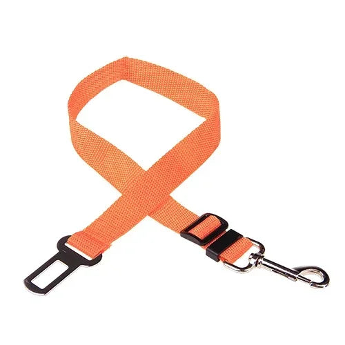 Car Safety Belt