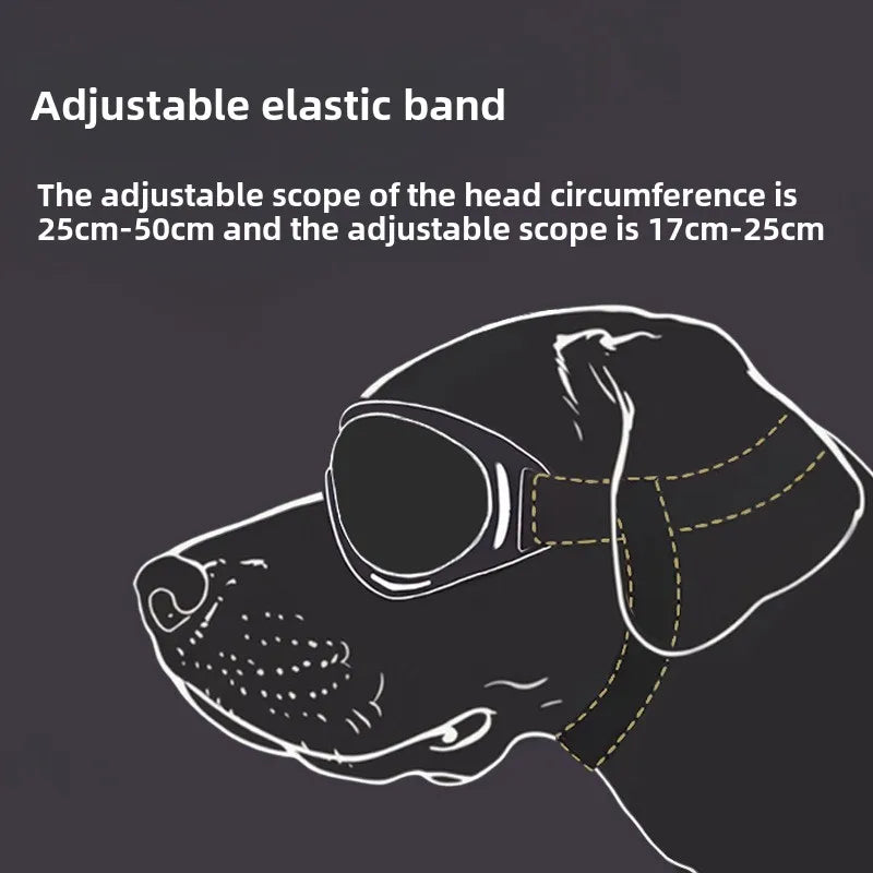 Dog Goggles