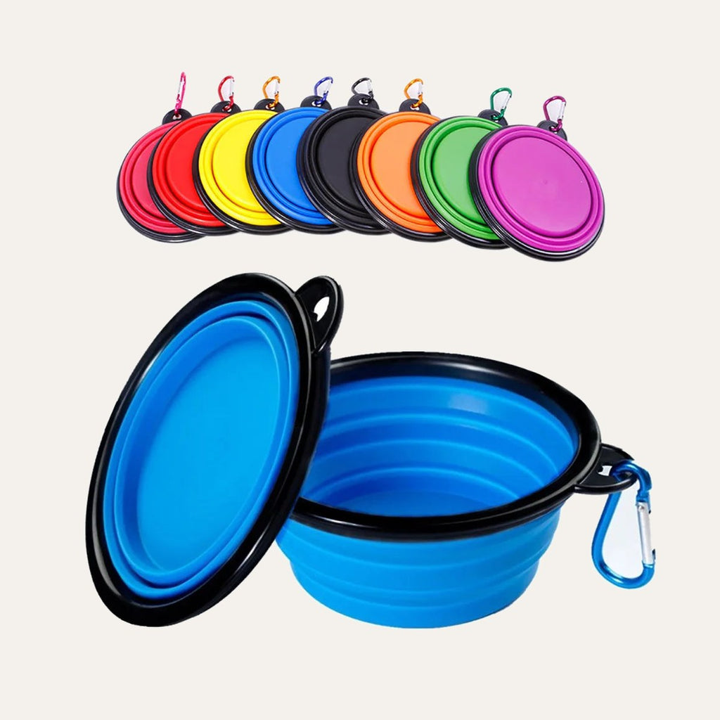 Foldable Travel Bowl