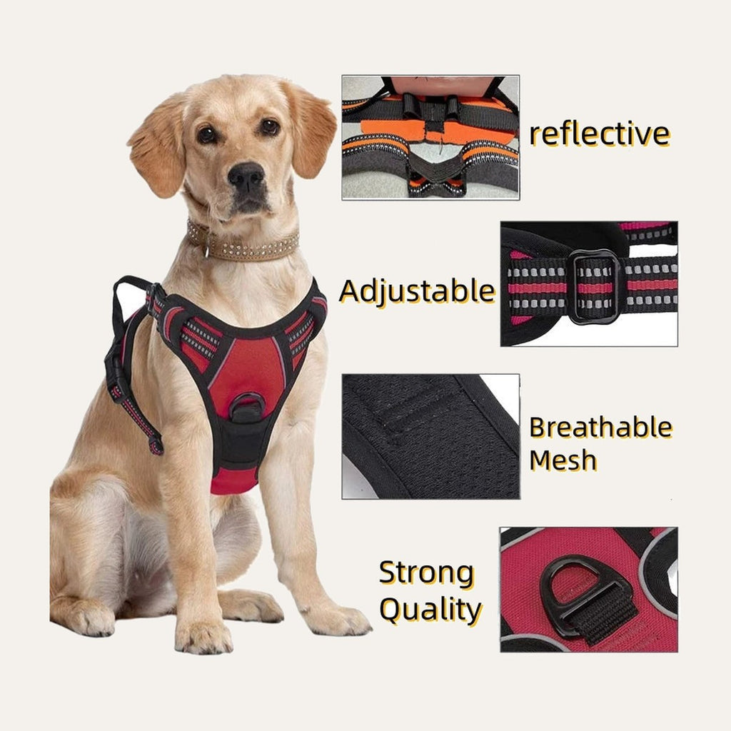 Heavy Duty Harness