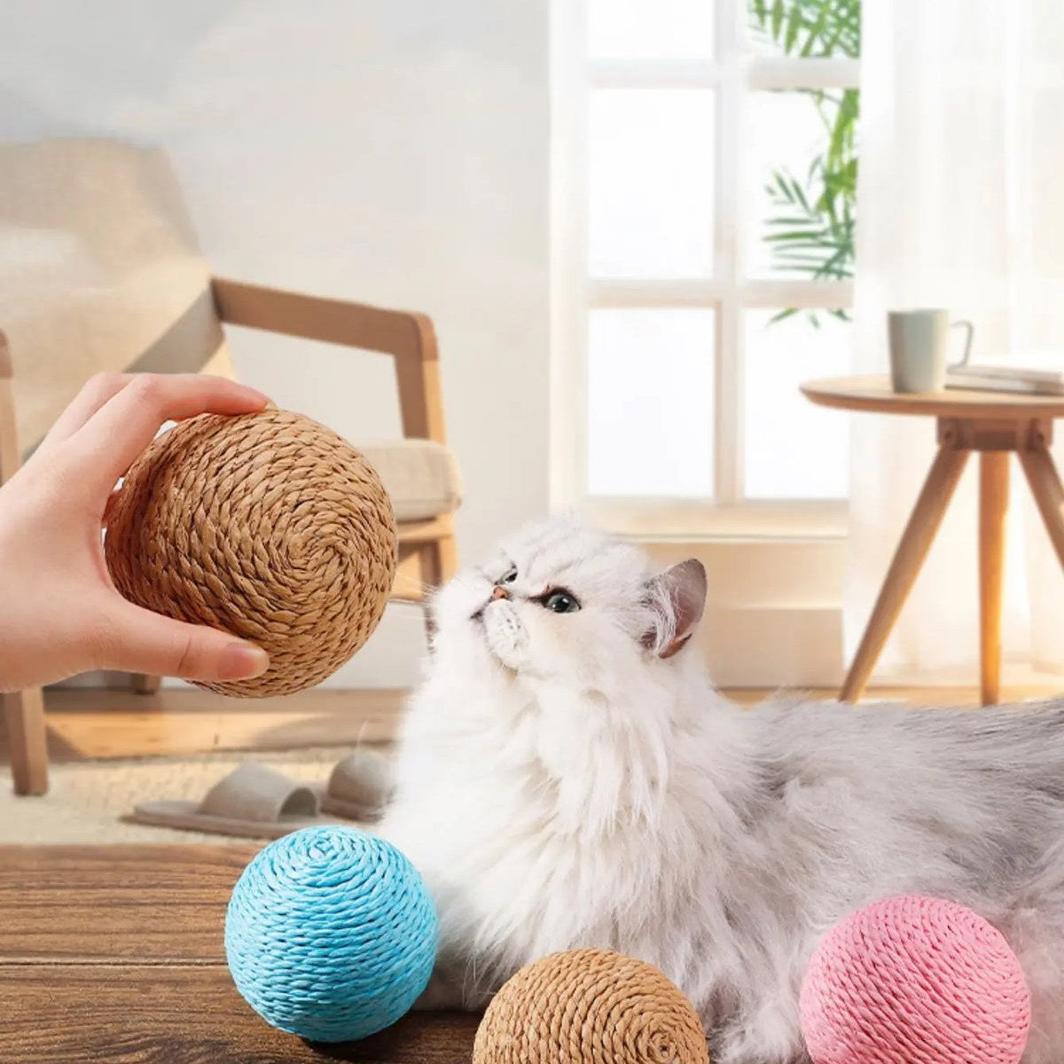 Sisal Scratch Ball