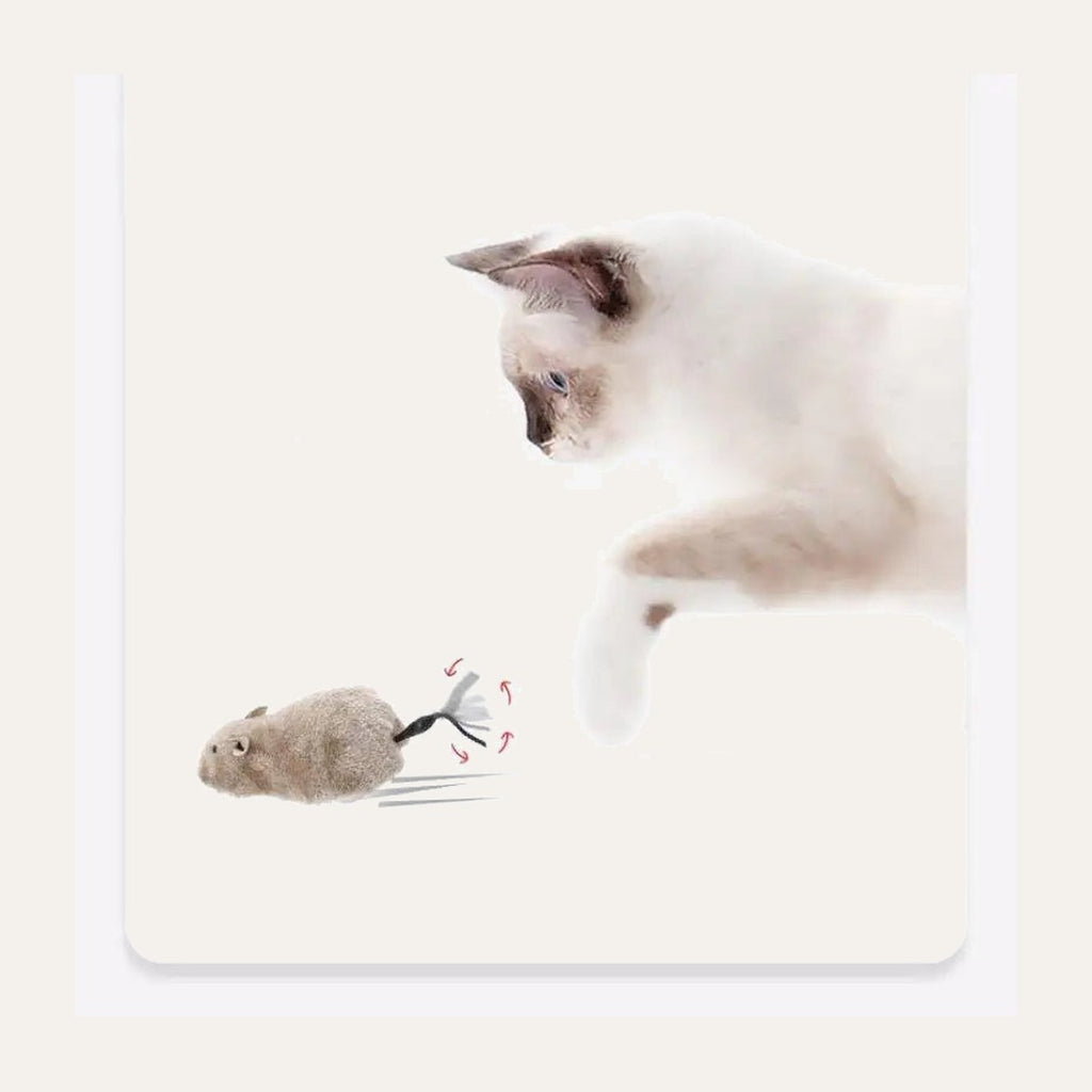 Plush Mouse Toy