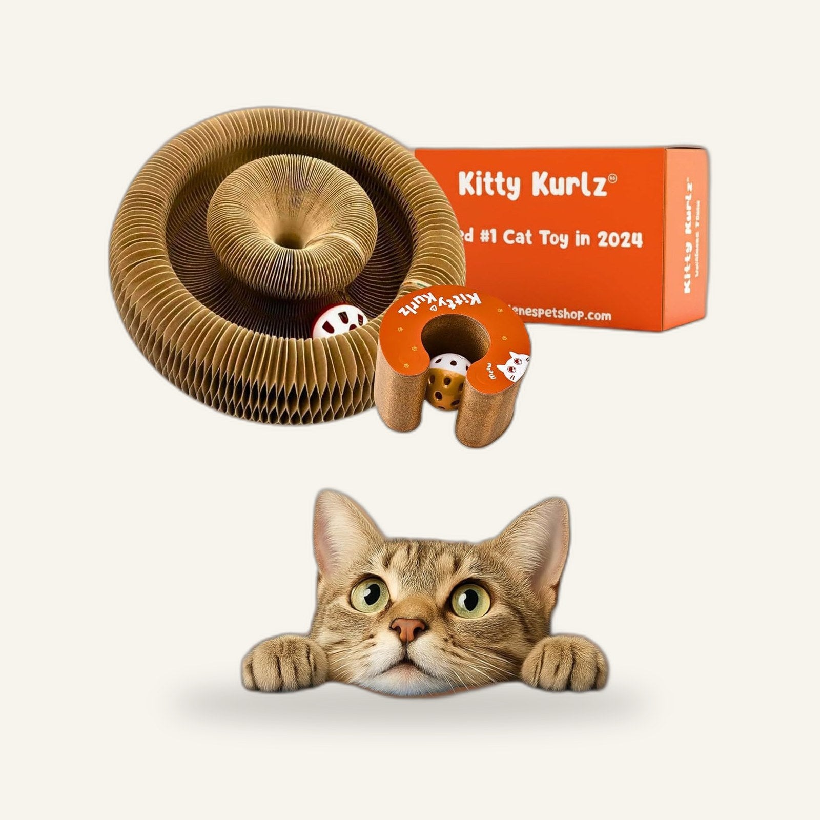 Accordion Scratcher