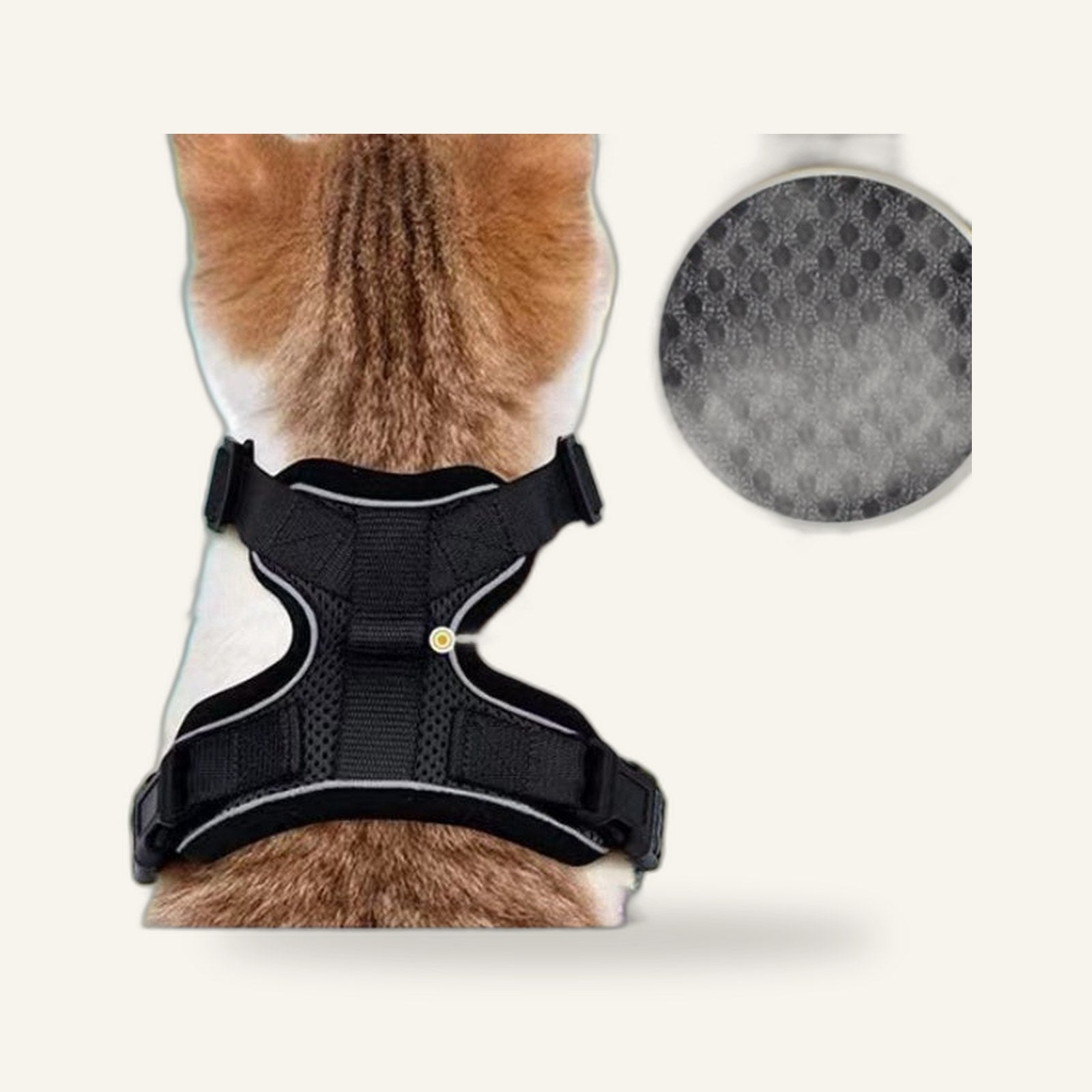 Air Mesh Harness