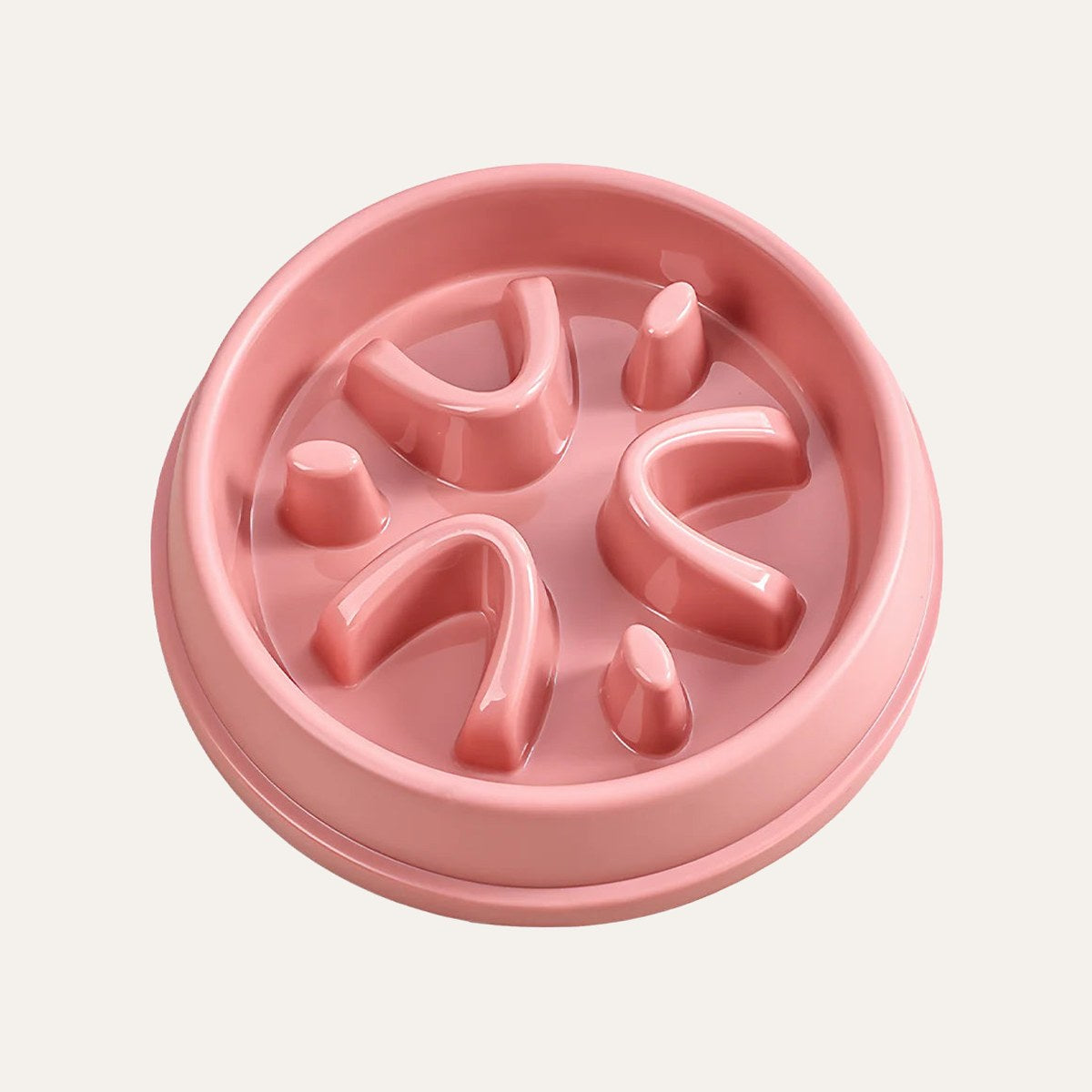 Slow Feeder Bowl