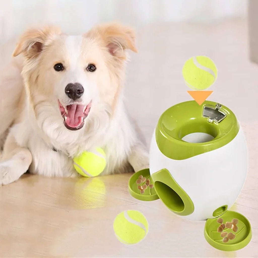 Ball Reward Machine