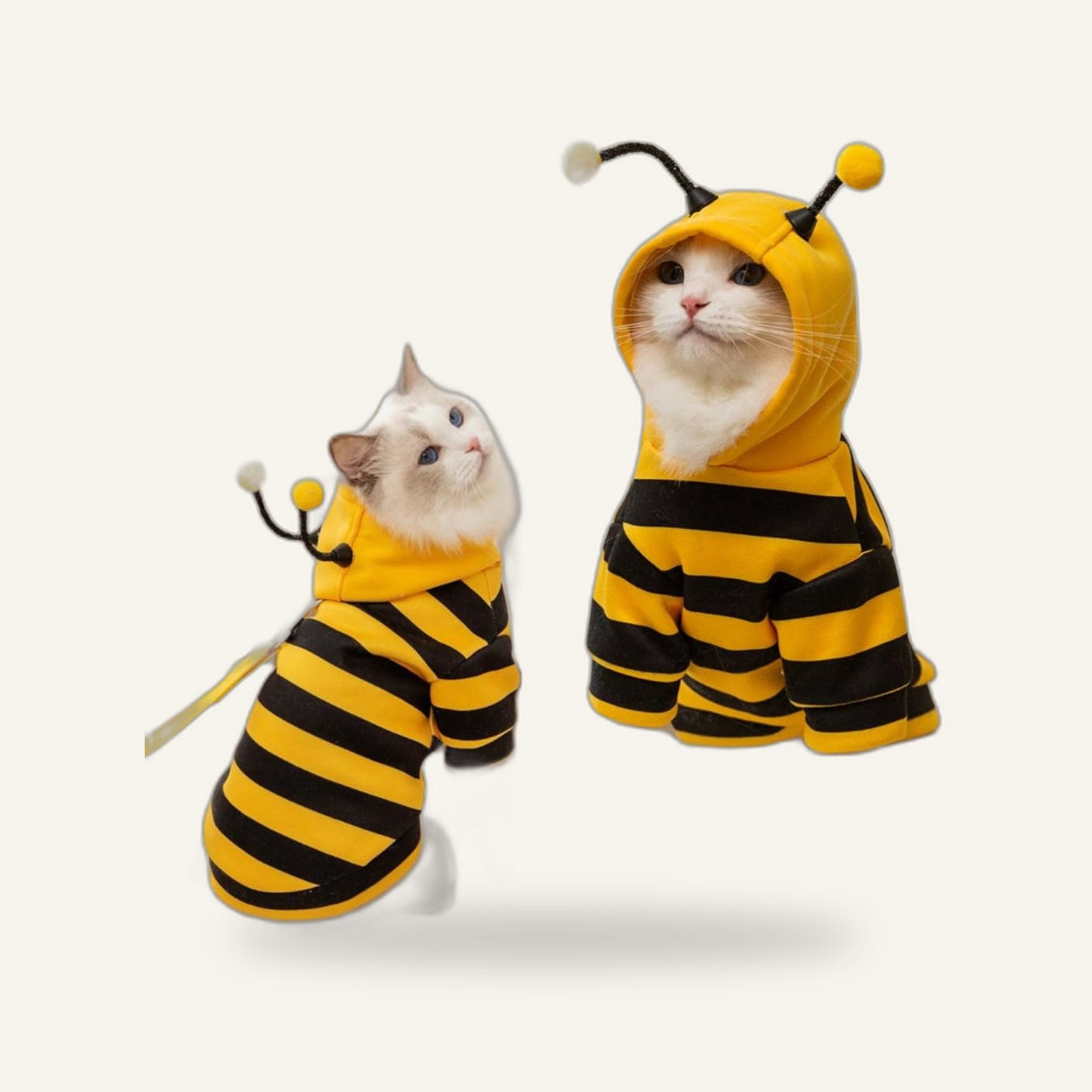 Bee Cat Costume