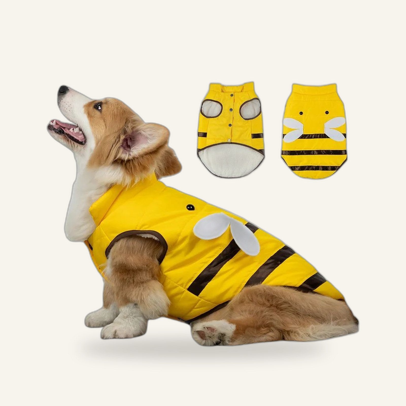 Bee Dog Coat