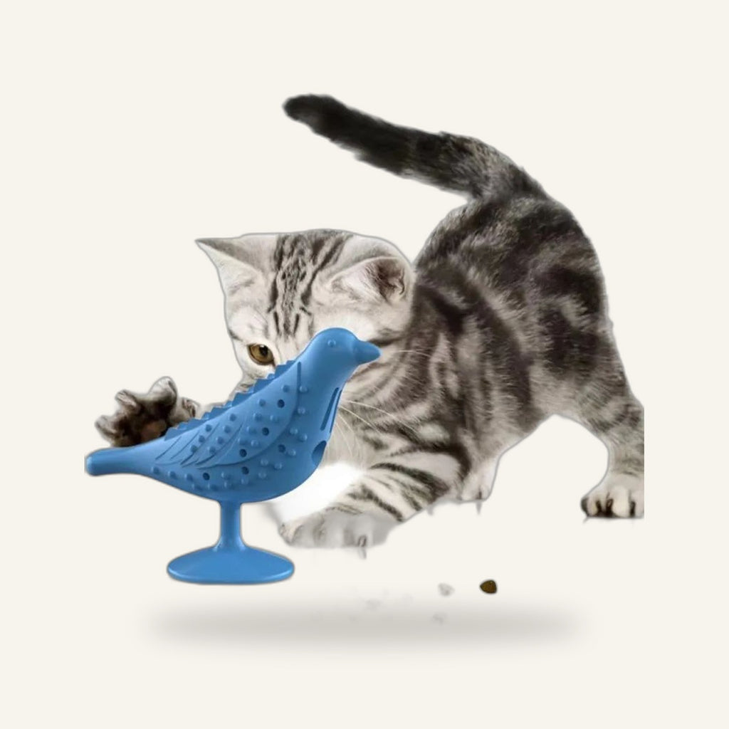 Bird Treat Dispenser