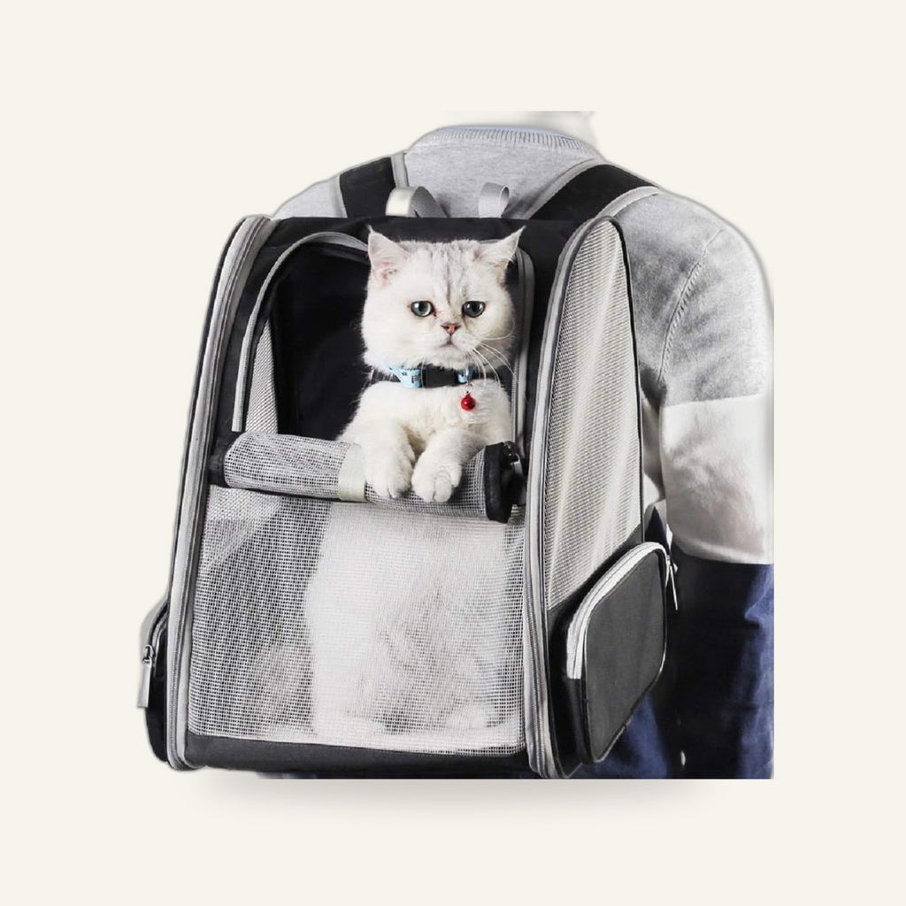 Bubble Backpack