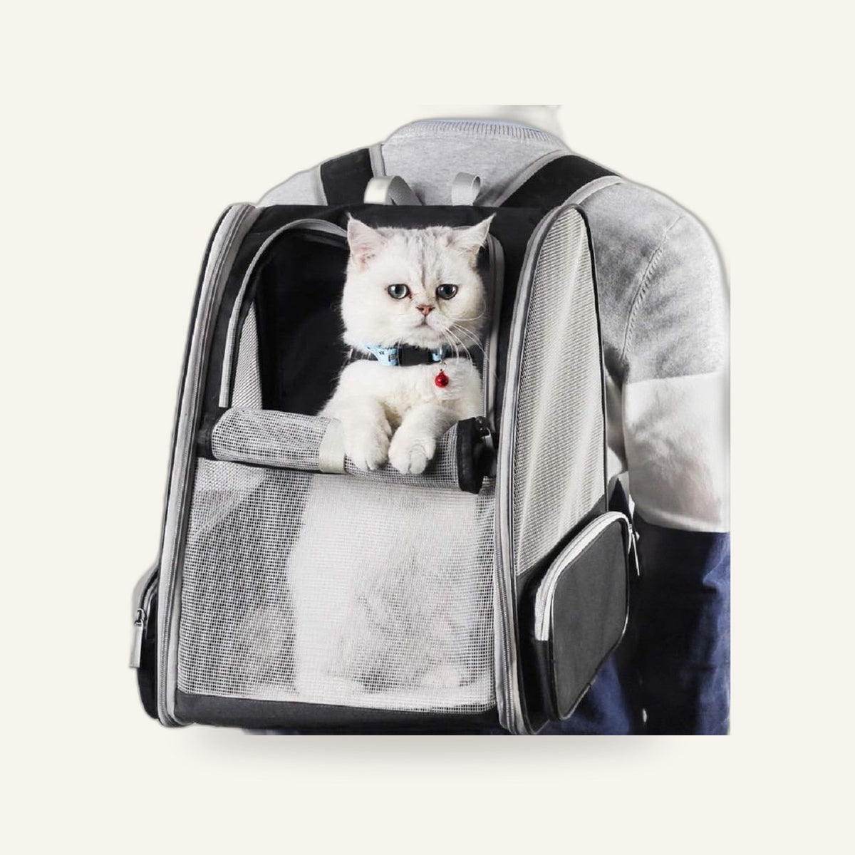 Bubble Backpack