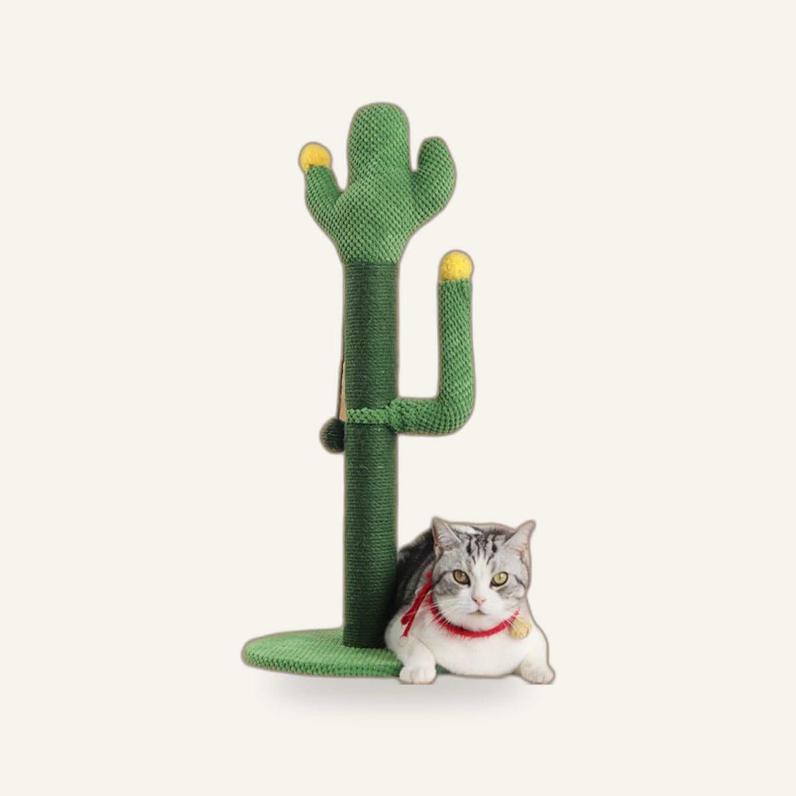 Cactus Scratcher