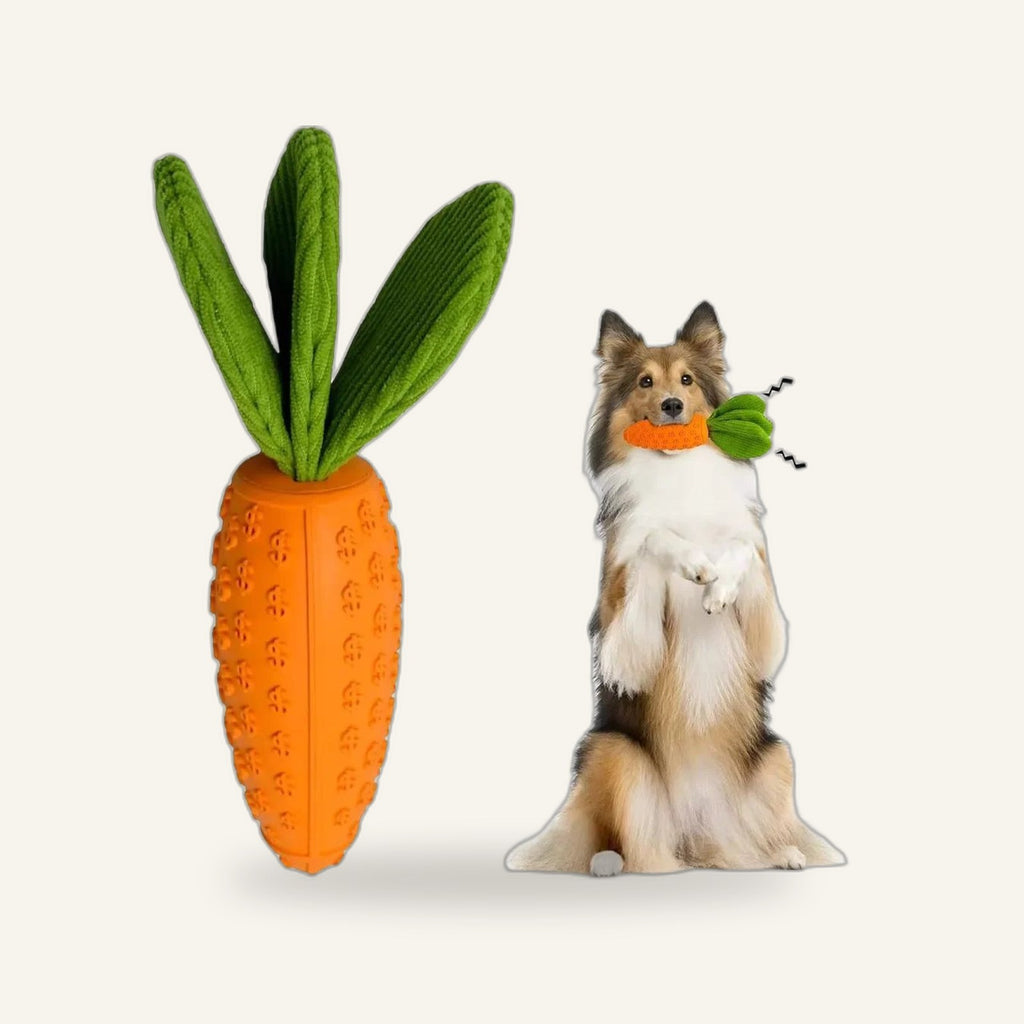 Carrot Chew Toy