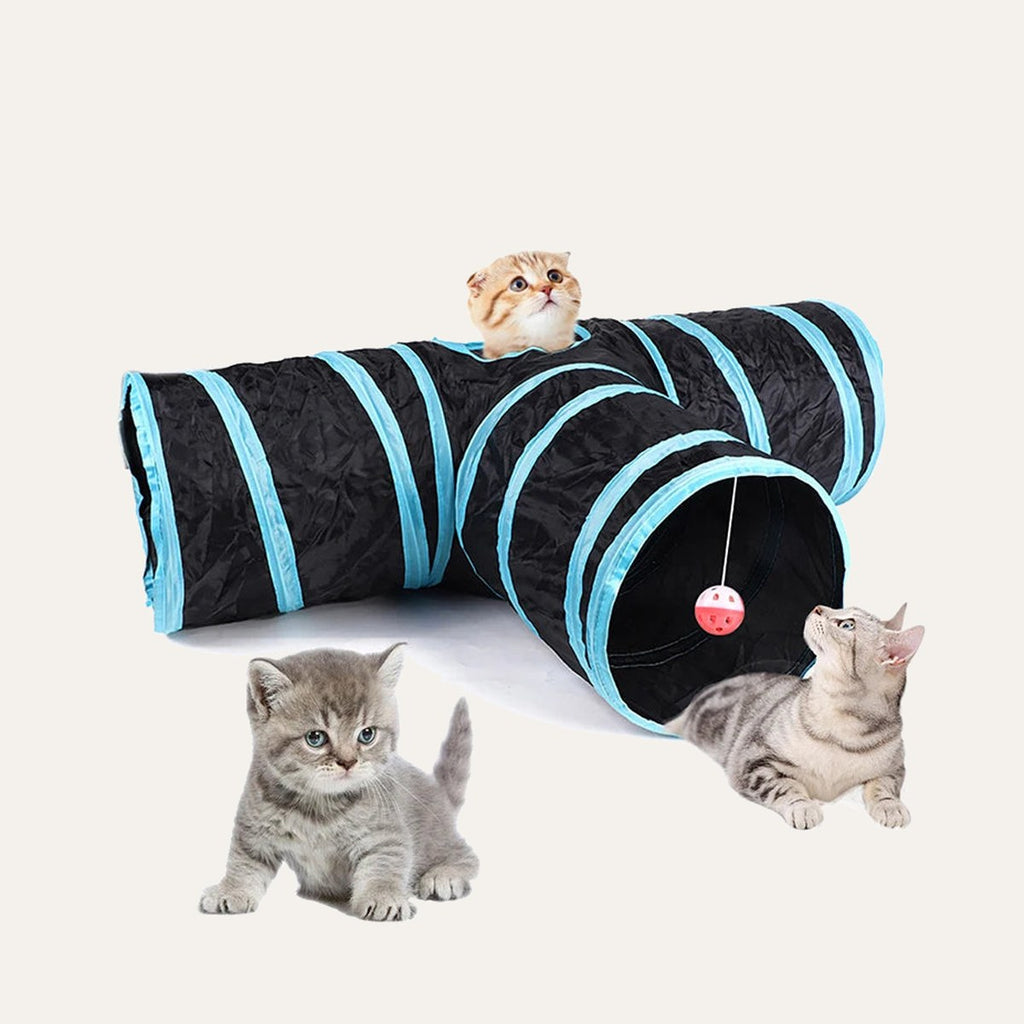 Cat Tunnel