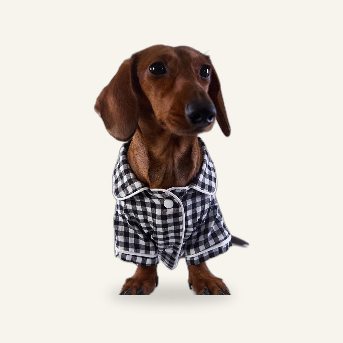 Checked Pajamas