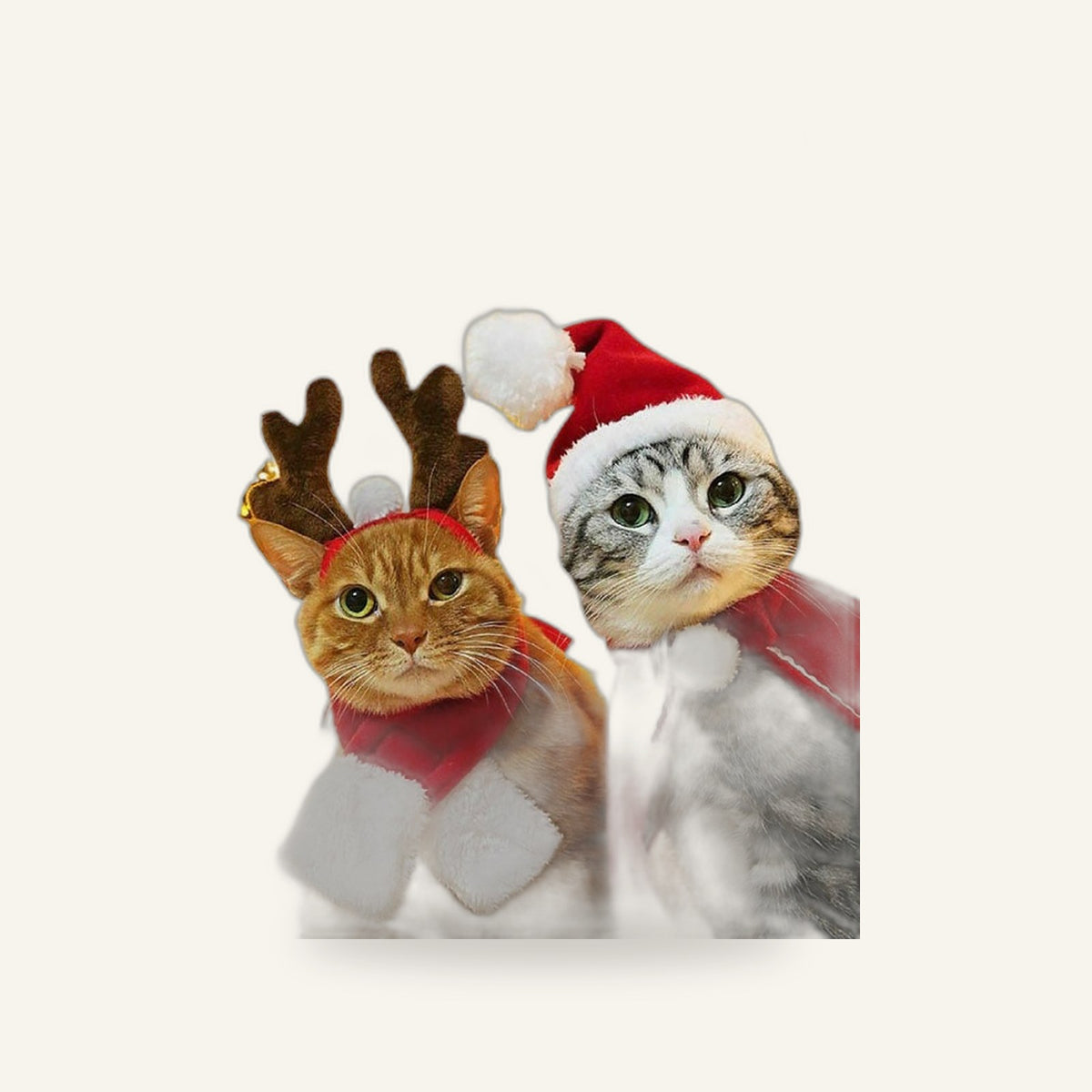 Christmas Dress-Up Set