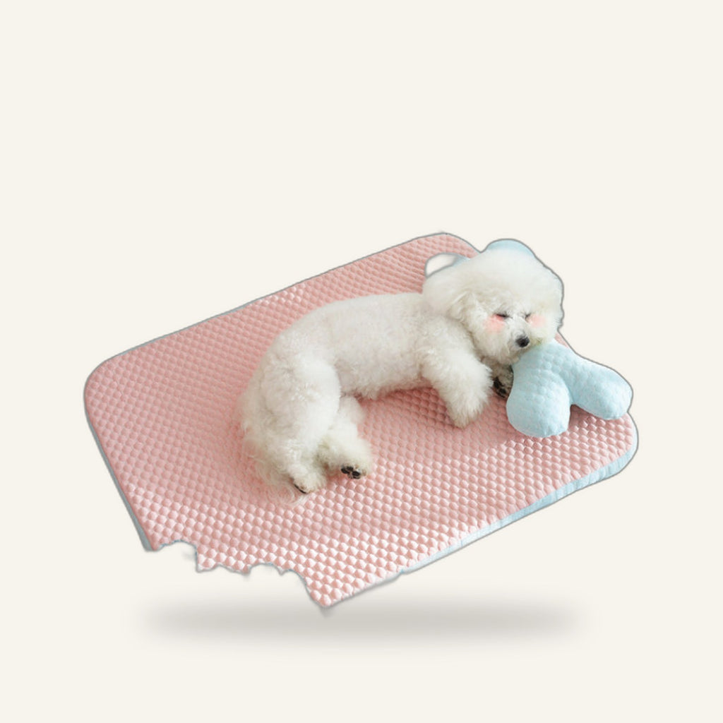 Cooling Dog Bed