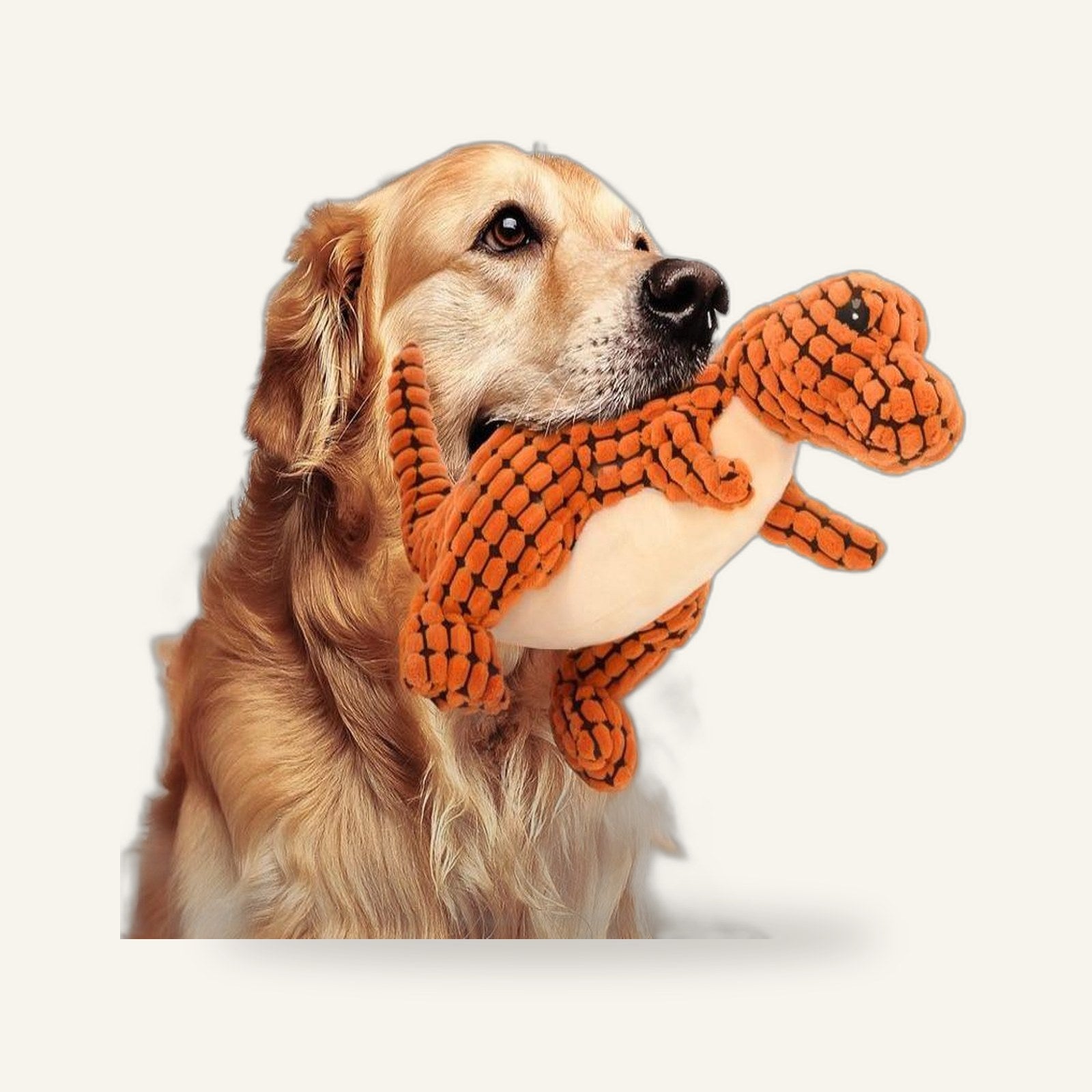 Dino Plush Toy