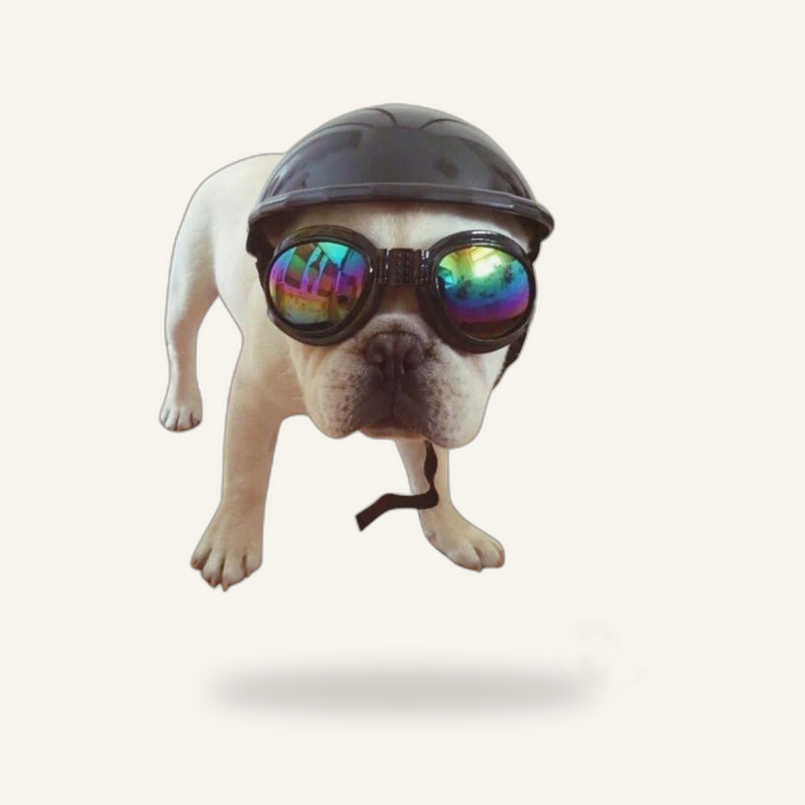 Dog Helmet