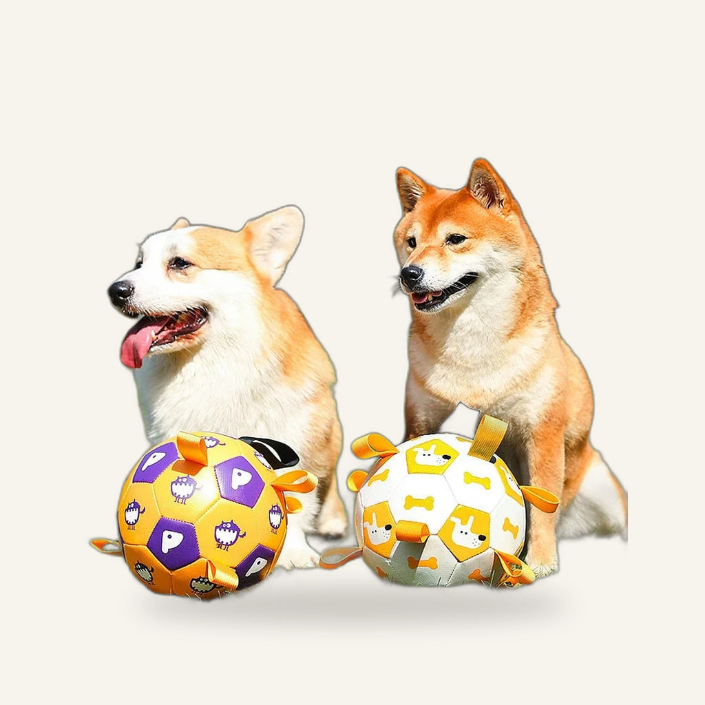 Dog Soccer Ball