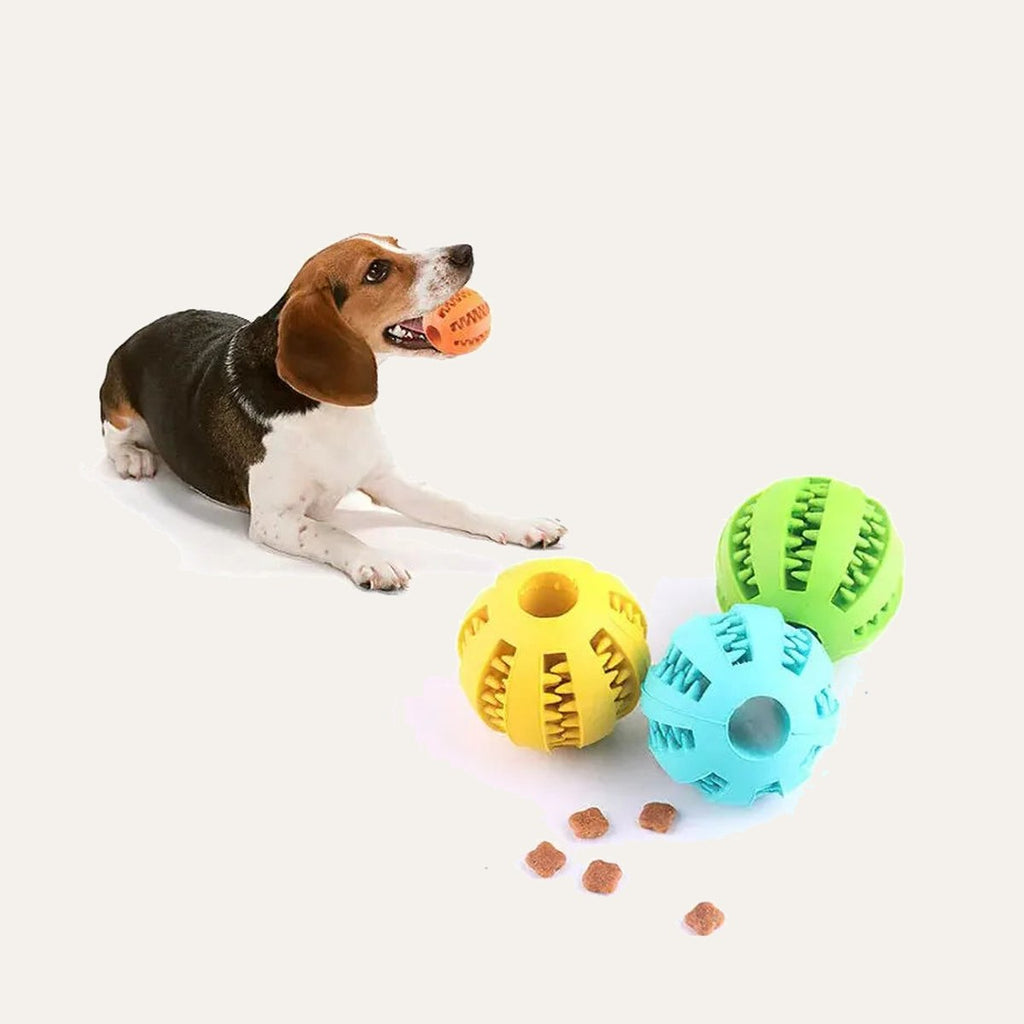 Treat Ball