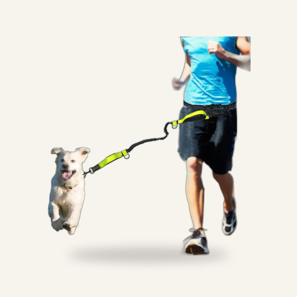 Hands-Free Leash