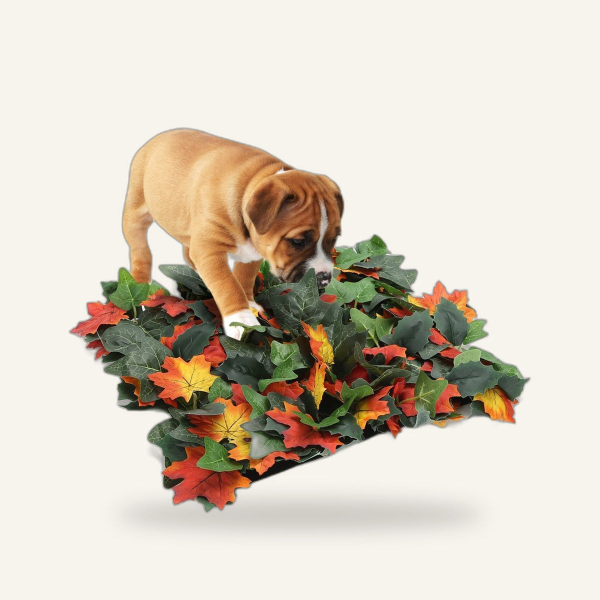 Jungle Snuffle Mat