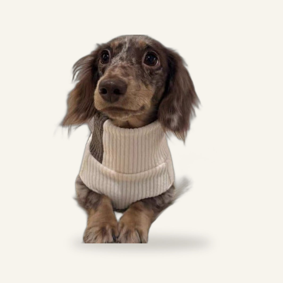 Knit Sweater